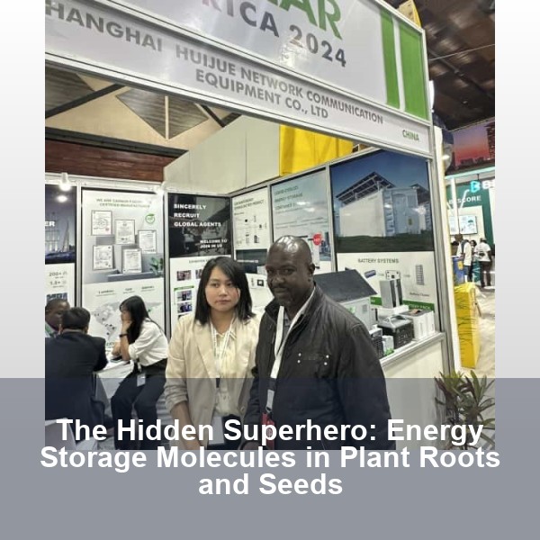 The Hidden Superhero: Energy Storage Molecules in Plant Roots and Seeds